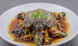 甲鱼汤15种做法 甲鱼的做法大全